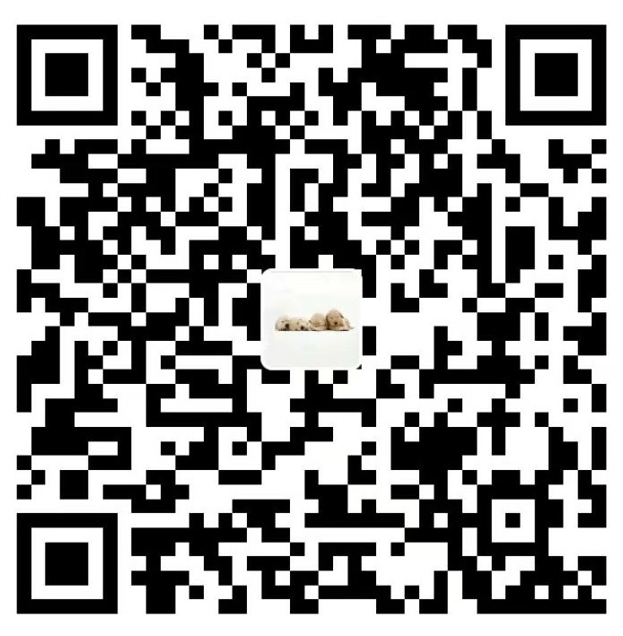 支付宝收款码